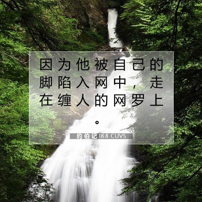 Picture 07 - 约 伯 记 18:8 CUVS - 因 为 他 被 自 己 的 脚 陷 入 网 中 - Bible Verse Picture