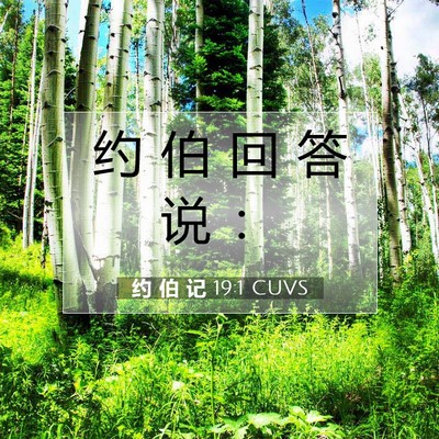 Picture 07 - 约 伯 记 19:1 CUVS - 约 伯 回 答 说 - Bible Verse Picture