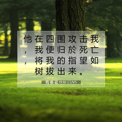 Picture 07 - 约 伯 记 19:10 CUVS - 他 在 四 围 攻 击 我 ， 我 便 归 於 - Bible Verse Picture