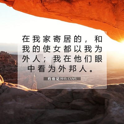 Picture 07 - 约 伯 记 19:15 CUVS - 在 我 家 寄 居 的 ， 和 我 的 使 女 - Bible Verse Picture