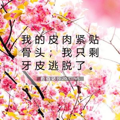 Picture 07 - 约 伯 记 19:20 CUVS - 我 的 皮 肉 紧 贴 骨 头 ； 我 只 剩 - Bible Verse Picture
