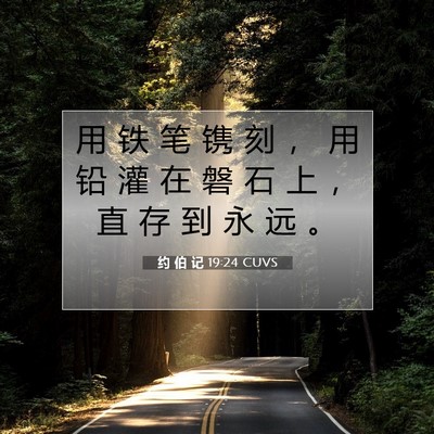 Picture 07 - 约 伯 记 19:24 CUVS - 用 铁 笔 镌 刻 ， 用 铅 灌 在 磐 石 - Bible Verse Picture