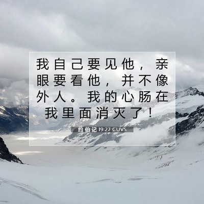 Picture 07 - 约 伯 记 19:27 CUVS - 我 自 己 要 见 他 ， 亲 眼 要 看 他 - Bible Verse Picture