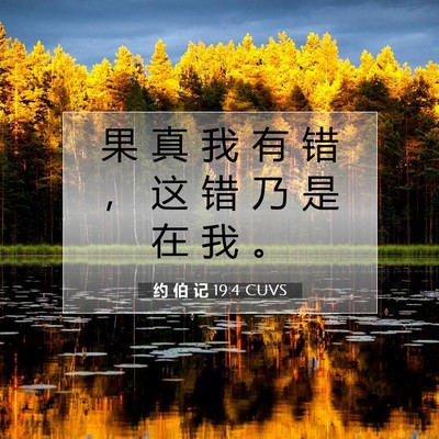 Picture 07 - 约 伯 记 19:4 CUVS - 果 真 我 有 错 ， 这 错 乃 是 在 我 - Bible Verse Picture