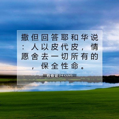 Picture 07 - 约 伯 记 2:4 CUVS - 撒 但 回 答 耶 和 华 说 ： 人 以 皮 - Bible Verse Picture