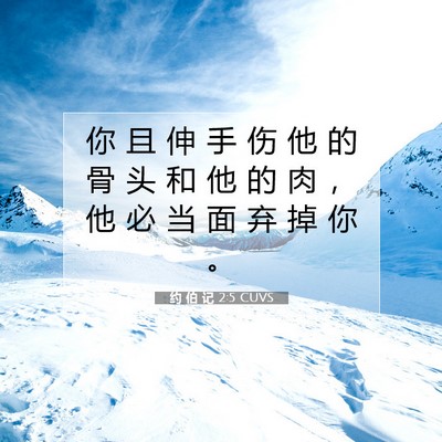 Picture 07 - 约 伯 记 2:5 CUVS - 你 且 伸 手 伤 他 的 骨 头 和 他 的 - Bible Verse Picture