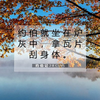 Picture 07 - 约 伯 记 2:8 CUVS - 约 伯 就 坐 在 炉 灰 中 ， 拿 瓦 片 - Bible Verse Picture