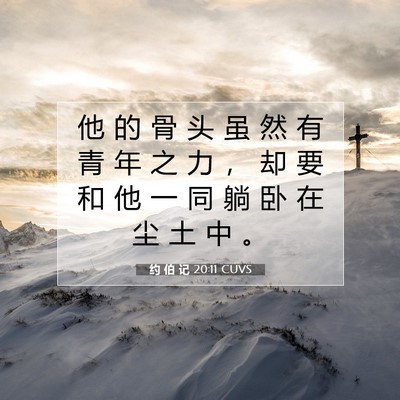 Picture 07 - 约 伯 记 20:11 CUVS - 他 的 骨 头 虽 然 有 青 年 之 力 ， - Bible Verse Picture