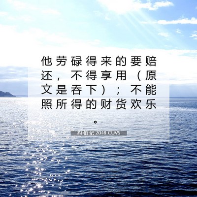 Picture 07 - 约 伯 记 20:18 CUVS - 他 劳 碌 得 来 的 要 赔 还 ， 不 得 - Bible Verse Picture