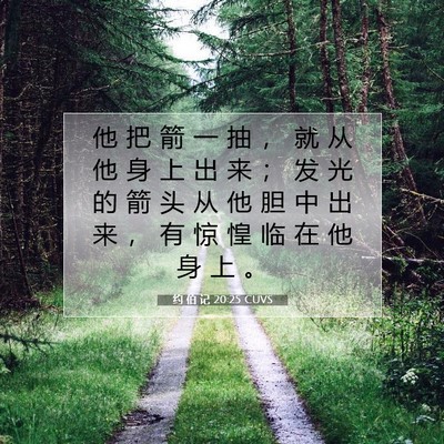 Picture 07 - 约 伯 记 20:25 CUVS - 他 把 箭 一 抽 ， 就 从 他 身 上 出 - Bible Verse Picture