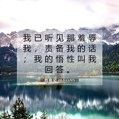 Picture 07 - 约 伯 记 20:3 CUVS - 我 已 听 见 那 羞 辱 我 ， 责 备 我 - Bible Verse Picture