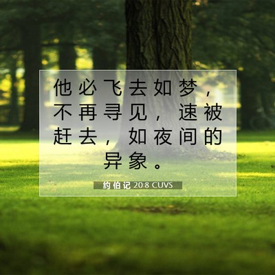 Picture 07 - 约 伯 记 20:8 CUVS - 他 必 飞 去 如 梦 ， 不 再 寻 见 ， - Bible Verse Picture