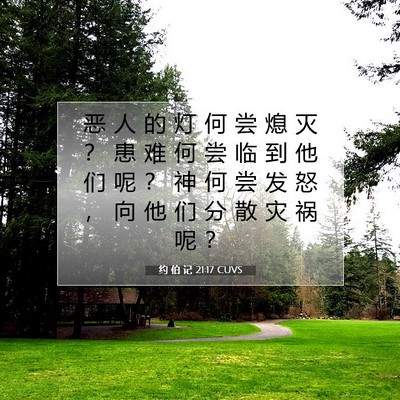 Picture 07 - 约 伯 记 21:17 CUVS - 恶 人 的 灯 何 尝 熄 灭 ？ 患 难 何 - Bible Verse Picture