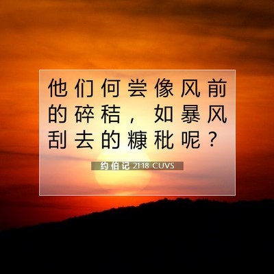Picture 07 - 约 伯 记 21:18 CUVS - 他 们 何 尝 像 风 前 的 碎 秸 ， 如 - Bible Verse Picture