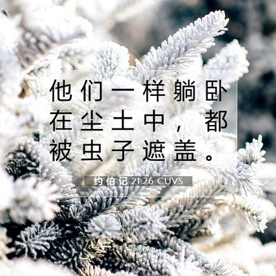 Picture 07 - 约 伯 记 21:26 CUVS - 他 们 一 样 躺 卧 在 尘 土 中 ， 都 - Bible Verse Picture