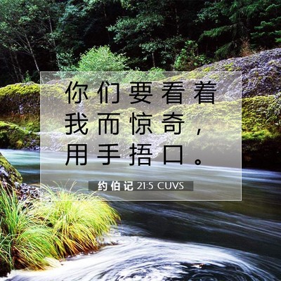 Picture 07 - 约 伯 记 21:5 CUVS - 你 们 要 看 着 我 而 惊 奇 ， 用 手 - Bible Verse Picture