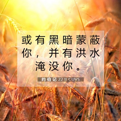 Picture 07 - 约 伯 记 22:11 CUVS - 或 有 黑 暗 蒙 蔽 你 ， 并 有 洪 水 - Bible Verse Picture