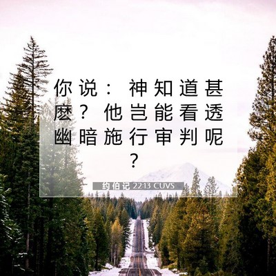 Picture 07 - 约 伯 记 22:13 CUVS - 你 说 ： 神 知 道 甚 麽 ？ 他 岂 能 - Bible Verse Picture