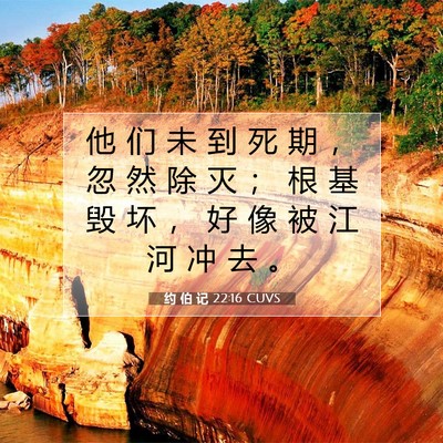 Picture 07 - 约 伯 记 22:16 CUVS - 他 们 未 到 死 期 ， 忽 然 除 灭 ； - Bible Verse Picture