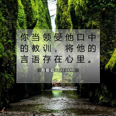 Picture 07 - 约 伯 记 22:22 CUVS - 你 当 领 受 他 口 中 的 教 训 ， 将 - Bible Verse Picture