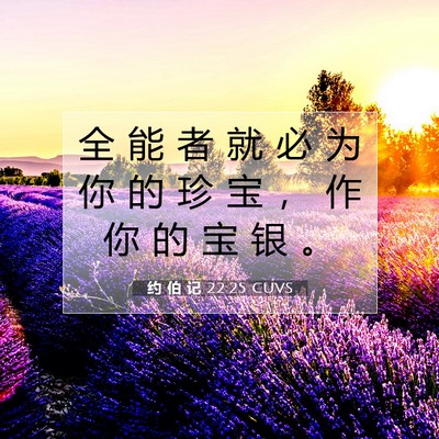 Picture 07 - 约 伯 记 22:25 CUVS - 全 能 者 就 必 为 你 的 珍 宝 ， 作 - Bible Verse Picture