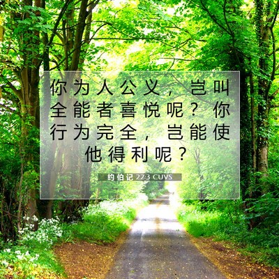Picture 07 - 约 伯 记 22:3 CUVS - 你 为 人 公 义 ， 岂 叫 全 能 者 喜 - Bible Verse Picture