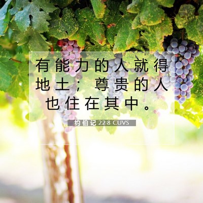 Picture 07 - 约 伯 记 22:8 CUVS - 有 能 力 的 人 就 得 地 土 ； 尊 贵 - Bible Verse Picture