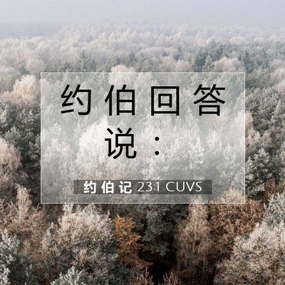Picture 07 - 约 伯 记 23:1 CUVS - 约 伯 回 答 说 - Bible Verse Picture