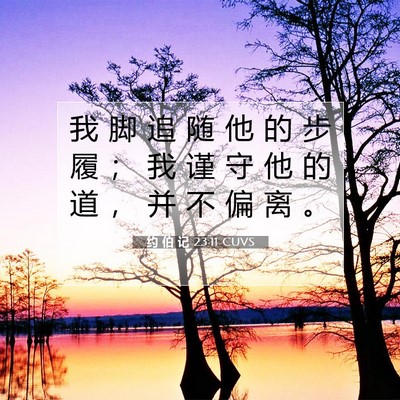 Picture 07 - 约 伯 记 23:11 CUVS - 我 脚 追 随 他 的 步 履 ； 我 谨 守 - Bible Verse Picture