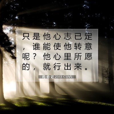 Picture 07 - 约 伯 记 23:13 CUVS - 只 是 他 心 志 已 定 ， 谁 能 使 他 - Bible Verse Picture