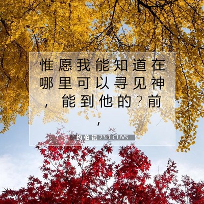 Picture 07 - 约 伯 记 23:3 CUVS - 惟 愿 我 能 知 道 在 哪 里 可 以 寻 - Bible Verse Picture