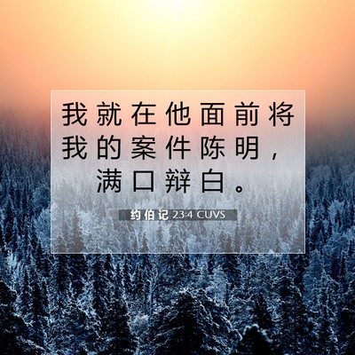 Picture 07 - 约 伯 记 23:4 CUVS - 我 就 在 他 面 前 将 我 的 案 件 陈 - Bible Verse Picture