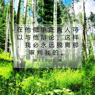 Picture 07 - 约 伯 记 23:7 CUVS - 在 他 那 里 正 直 人 可 以 与 他 辩 - Bible Verse Picture