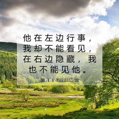 Picture 07 - 约 伯 记 23:9 CUVS - 他 在 左 边 行 事 ， 我 却 不 能 看 - Bible Verse Picture
