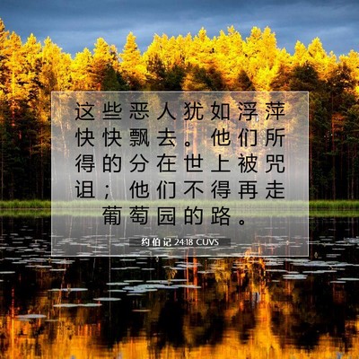 Picture 07 - 约 伯 记 24:18 CUVS - 这 些 恶 人 犹 如 浮 萍 快 快 飘 去 - Bible Verse Picture