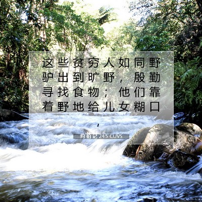 Picture 07 - 约 伯 记 24:5 CUVS - 这 些 贫 穷 人 如 同 野 驴 出 到 旷 - Bible Verse Picture