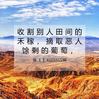Picture 07 - 约 伯 记 24:6 CUVS - 收 割 别 人 田 间 的 禾 稼 ， 摘 取 - Bible Verse Picture