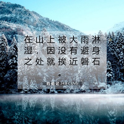 Picture 07 - 约 伯 记 24:8 CUVS - 在 山 上 被 大 雨 淋 湿 ， 因 没 有 - Bible Verse Picture