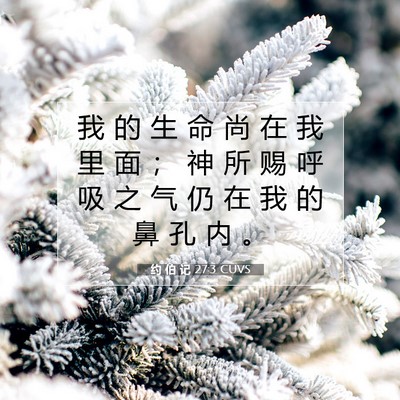 Picture 07 - 约 伯 记 27:3 CUVS - 我 的 生 命 尚 在 我 里 面 ； 神 所 - Bible Verse Picture