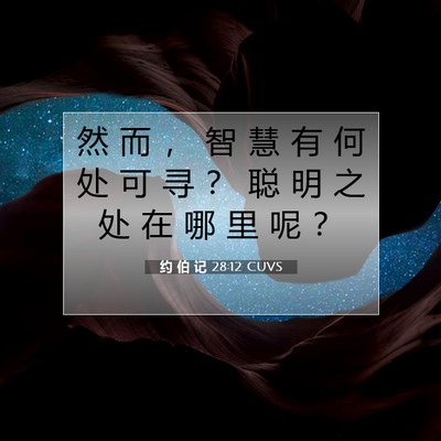 Picture 07 - 约 伯 记 28:12 CUVS - 然 而 ， 智 慧 有 何 处 可 寻 ？ 聪 - Bible Verse Picture