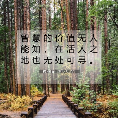 Picture 07 - 约 伯 记 28:13 CUVS - 智 慧 的 价 值 无 人 能 知 ， 在 活 - Bible Verse Picture