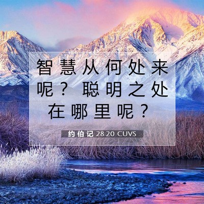 Picture 07 - 约 伯 记 28:20 CUVS - 智 慧 从 何 处 来 呢 ？ 聪 明 之 处 - Bible Verse Picture