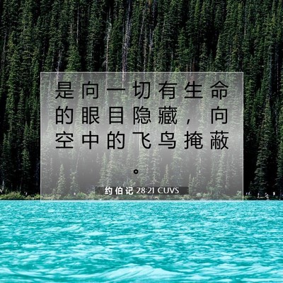Picture 07 - 约 伯 记 28:21 CUVS - 是 向 一 切 有 生 命 的 眼 目 隐 藏 - Bible Verse Picture