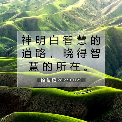 Picture 07 - 约 伯 记 28:23 CUVS - 神 明 白 智 慧 的 道 路 ， 晓 得 智 - Bible Verse Picture