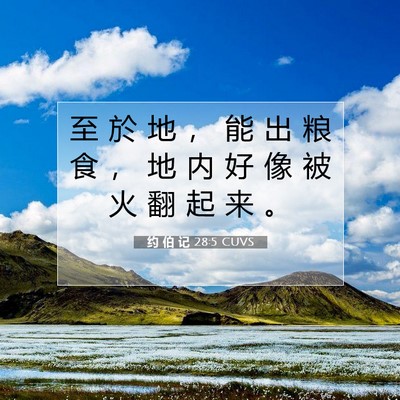 Picture 07 - 约 伯 记 28:5 CUVS - 至 於 地 ， 能 出 粮 食 ， 地 内 好 - Bible Verse Picture
