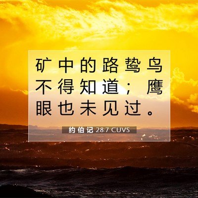 Picture 07 - 约 伯 记 28:7 CUVS - 矿 中 的 路 鸷 鸟 不 得 知 道 ； 鹰 - Bible Verse Picture