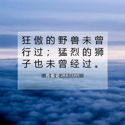 Picture 07 - 约 伯 记 28:8 CUVS - 狂 傲 的 野 兽 未 曾 行 过 ； 猛 烈 - Bible Verse Picture