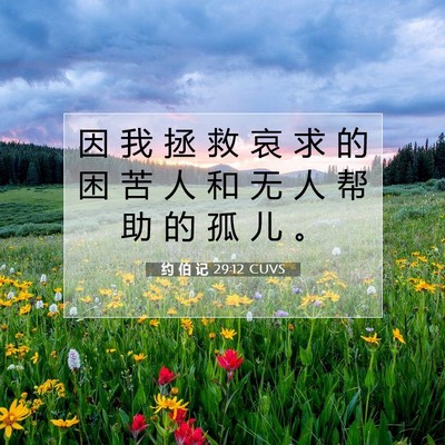 Picture 07 - 约 伯 记 29:12 CUVS - 因 我 拯 救 哀 求 的 困 苦 人 和 无 - Bible Verse Picture