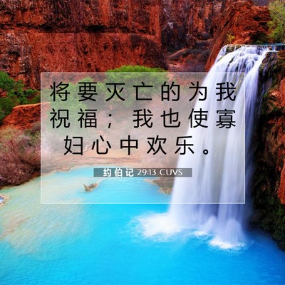 Picture 07 - 约 伯 记 29:13 CUVS - 将 要 灭 亡 的 为 我 祝 福 ； 我 也 - Bible Verse Picture