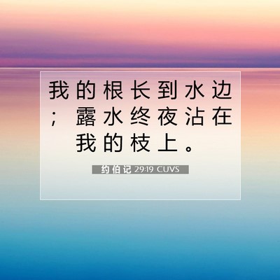 Picture 07 - 约 伯 记 29:19 CUVS - 我 的 根 长 到 水 边 ； 露 水 终 夜 - Bible Verse Picture